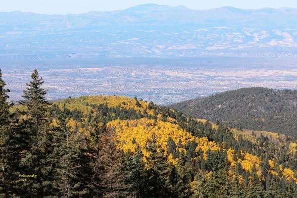 Elevated view of Pecos valley with fall colors stretching to horizon