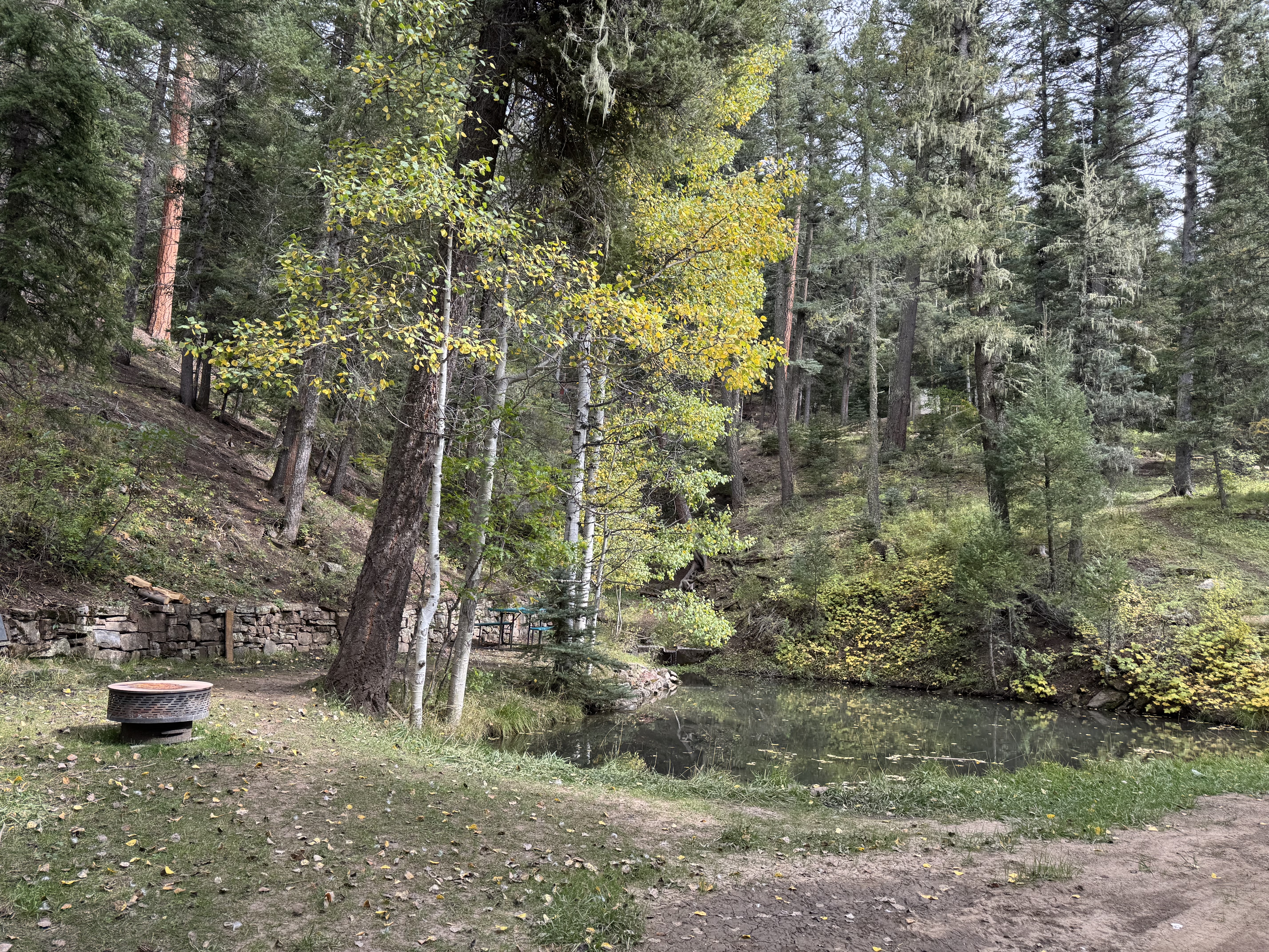 Trout pond with turning aspens fall Vida Bonita Pecos property